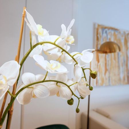 Tirso Suite Madrid Exteriér fotografie