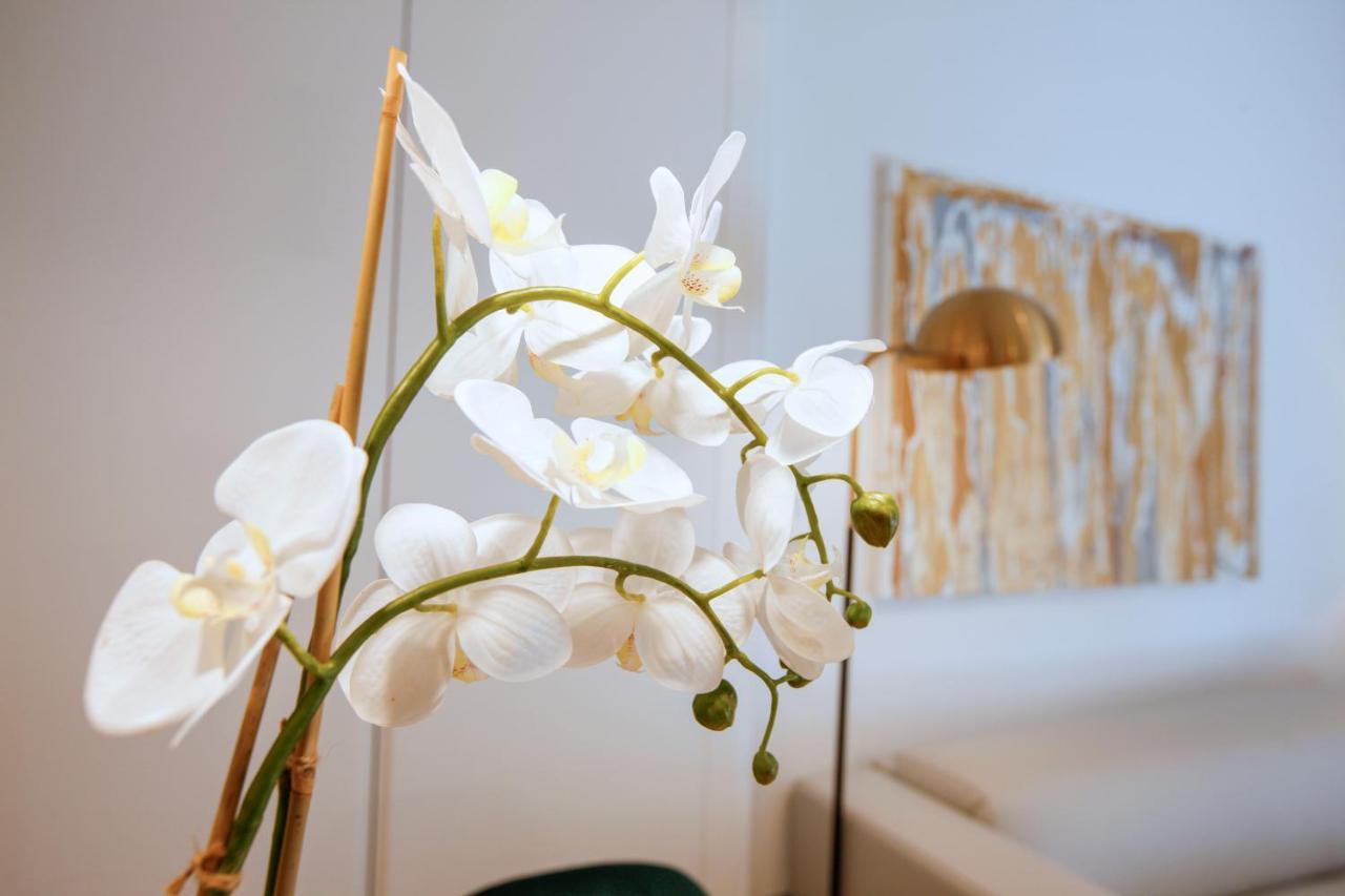 Tirso Suite Madrid Exteriér fotografie